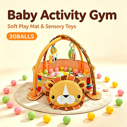 Baby Fitness Play Arch with Ocean Ball Pool | 30 Balls Included | Multifunctional Activity Gym